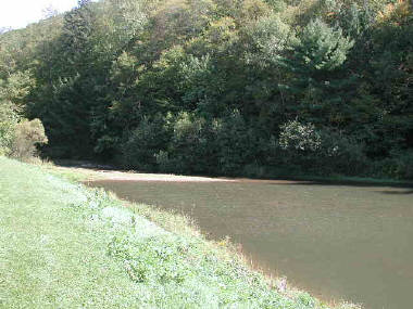 Mitchell Park