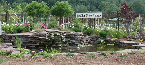 Wending Creek Farms