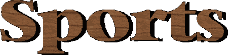 sports22.gif (4887 bytes)